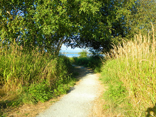 White-rock-surrey-bc-counselling-office